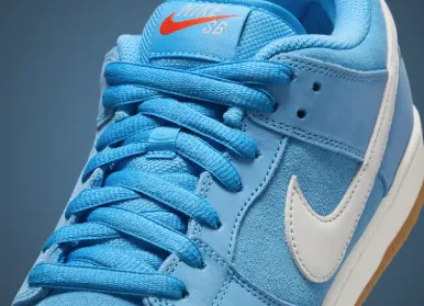 Nike SB - Dunk Low Pro Shoes | University Blue